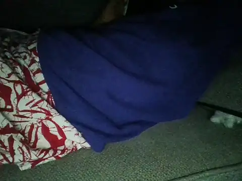 Dizzydose webcam