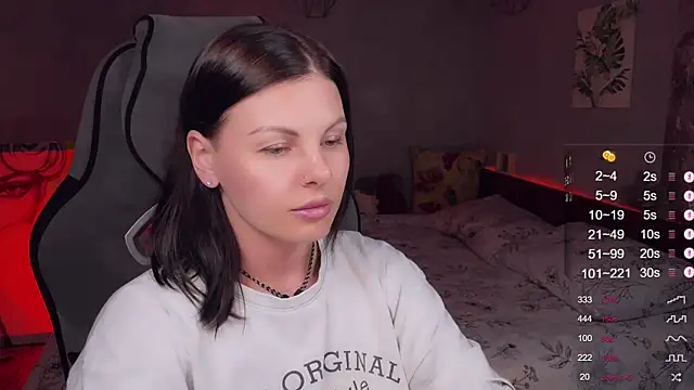 Alaska_ya webcam