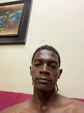 KingBlack25cm webcam