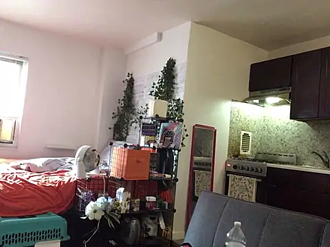 littyleesh1 webcam