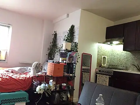 littyleesh1 webcam