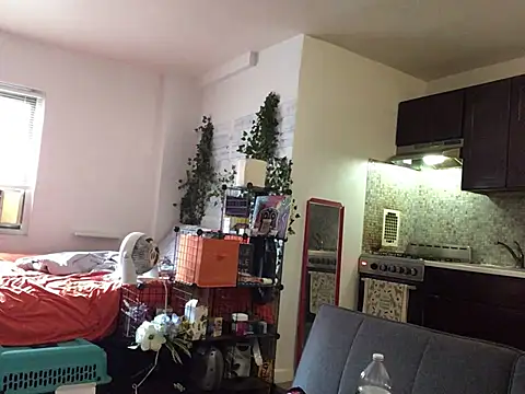 littyleesh1 webcam