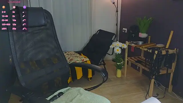 laracroftmansion webcam