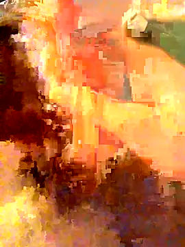 Zip_arabi webcam