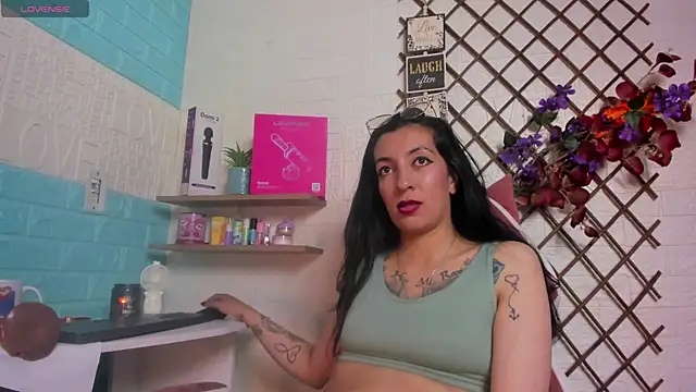 SALOME_KORLAND webcam