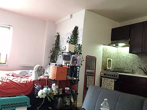 littyleesh1 webcam