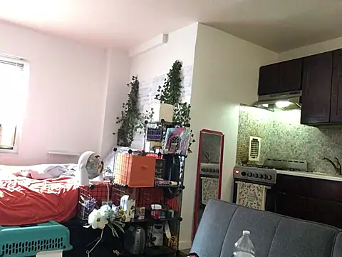 littyleesh1 webcam