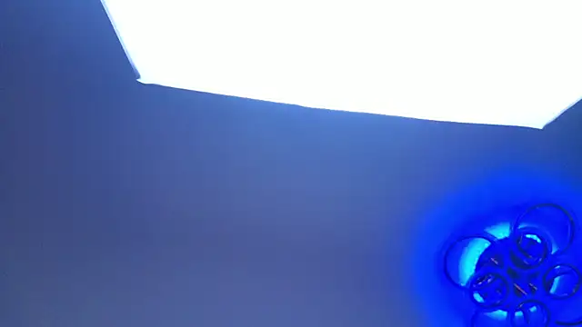 PerryKitty webcam