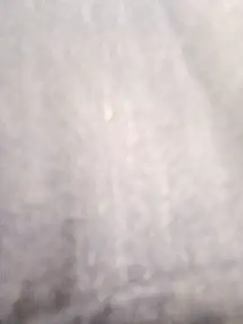 TattyFoxglove webcam