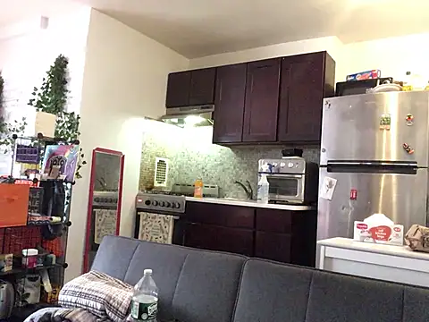 littyleesh1 webcam