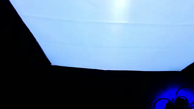 PerryKitty webcam