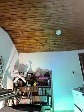 NikkiNix webcam