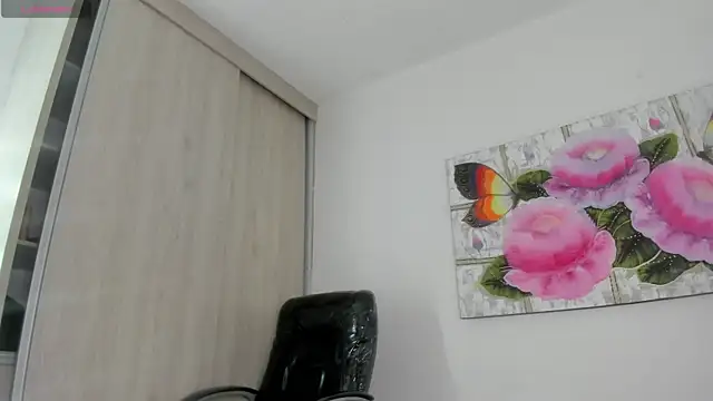 Modèle: barbie_ds