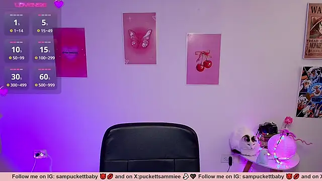 Sampuckettbaby webcam