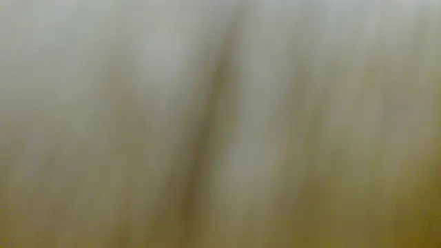 sussy_leon webcam