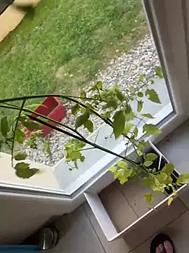 Misstakenhot webcam