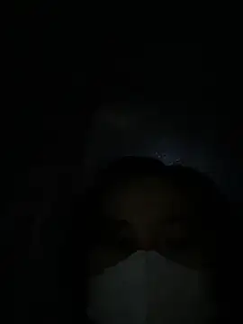 Zinsetka webcam
