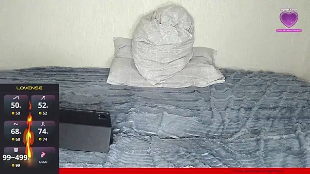 TvoY_bOy1 webcam