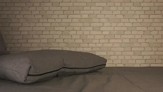 silent_in_the_dark webcam