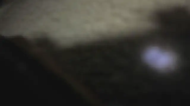 melani_xc webcam