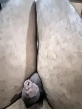 Aashish51515 webcam