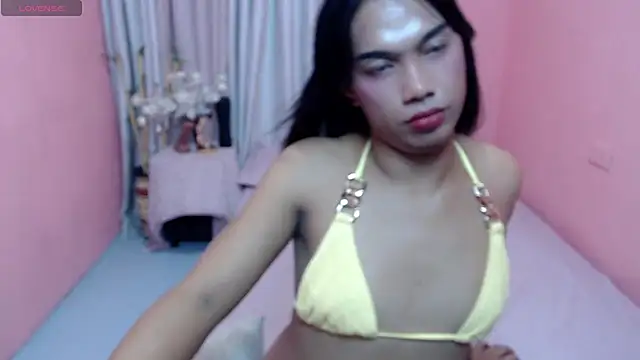 Herbielustts webcam