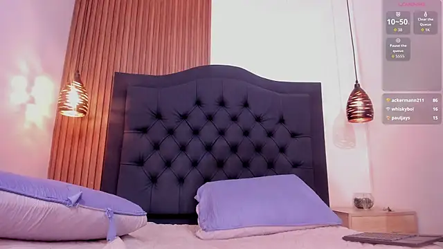 Johan_gz_ webcam