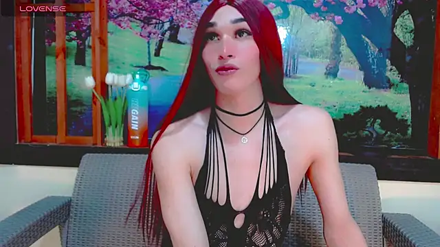 britanny_noroeste webcam