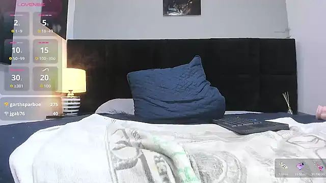 _Alan_Walker_1 webcam