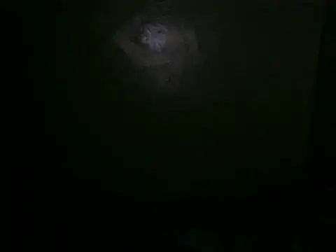 nasty_girl01 webcam