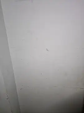 avaa_richard webcam
