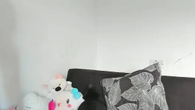 Eirlysx webcam