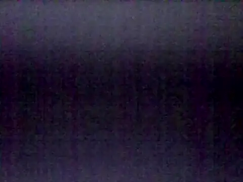 traper_1 webcam