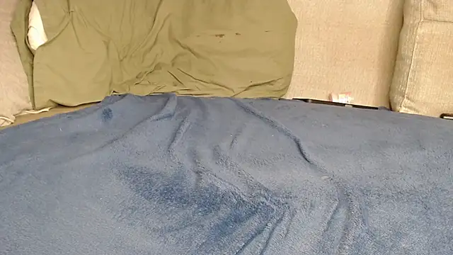 Raycatt1 webcam