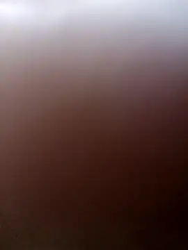 Honeybee_Couples09 webcam