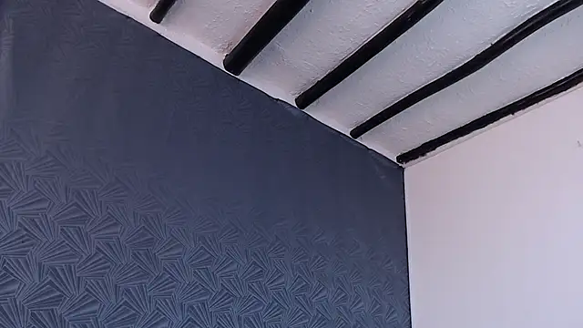 Freyja_eter webcam