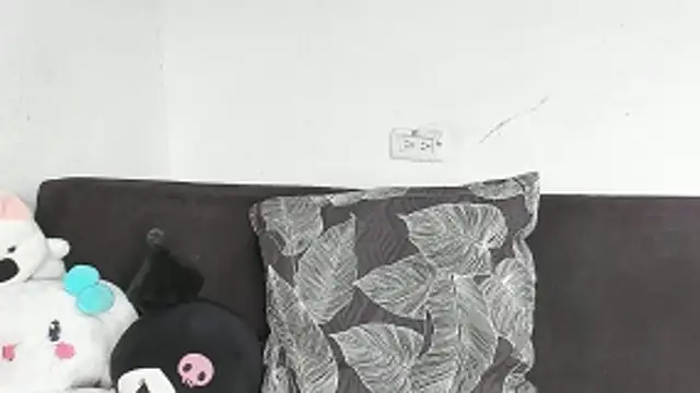 Eirlysx webcam