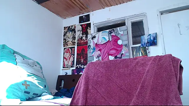 Cortana2_0 webcam