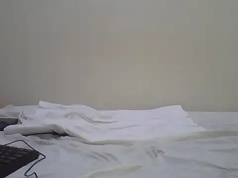 Swt_pie webcam