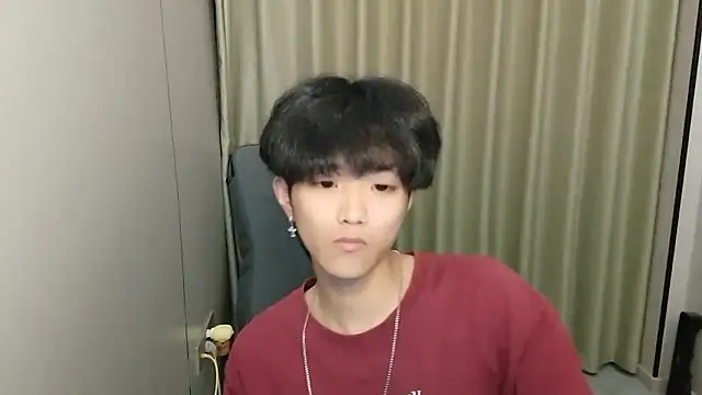 wssoo11 webcam