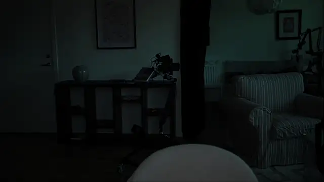 somaticeros webcam