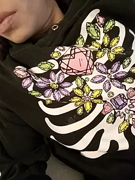 MINI_Petite webcam