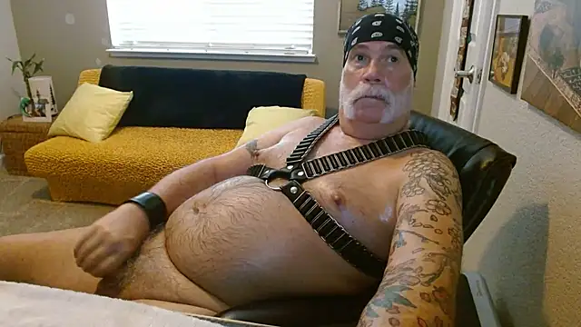 musclebearnips webcam