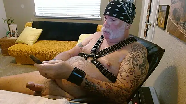 musclebearnips webcam