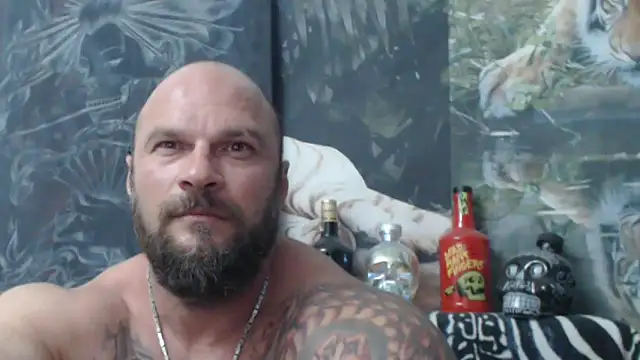 viking_30 webcam