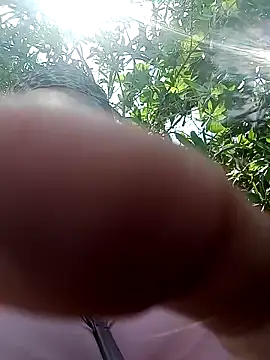 PlacerTallaXXX webcam