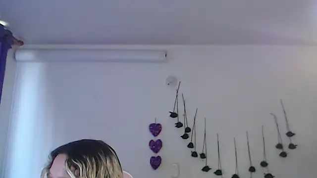 SLOPPYTITSS webcam