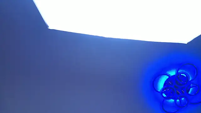 PerryKitty