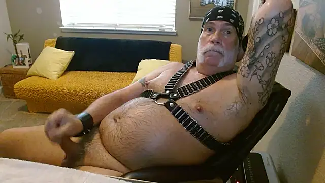 musclebearnips webcam