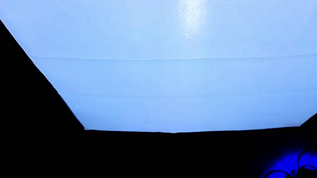 PerryKitty